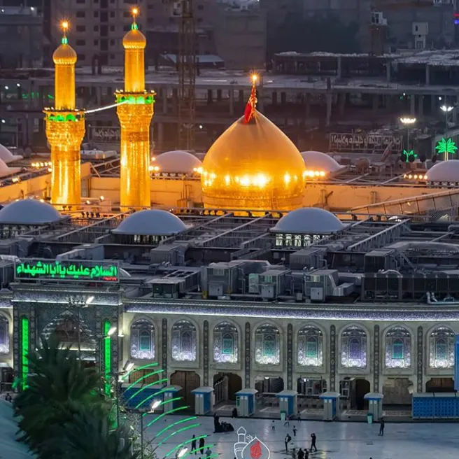 ali_wale_313_