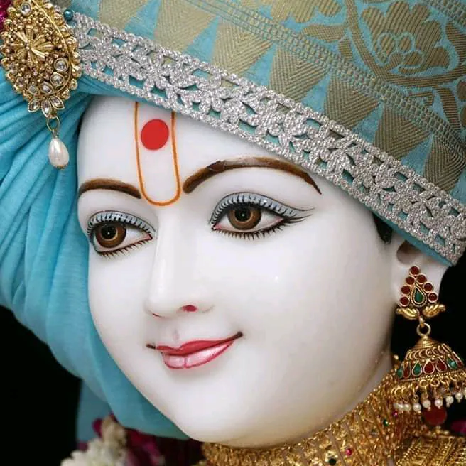 @anjaligajjar31399