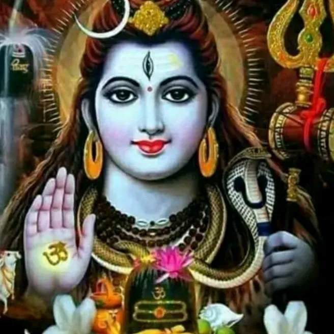 user511865396bujji