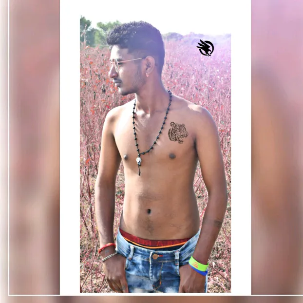 user7584475251319