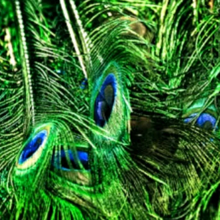 bibinbiby0
