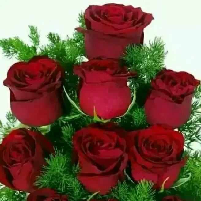 @gitanjalisethi894