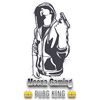 meena_gaming