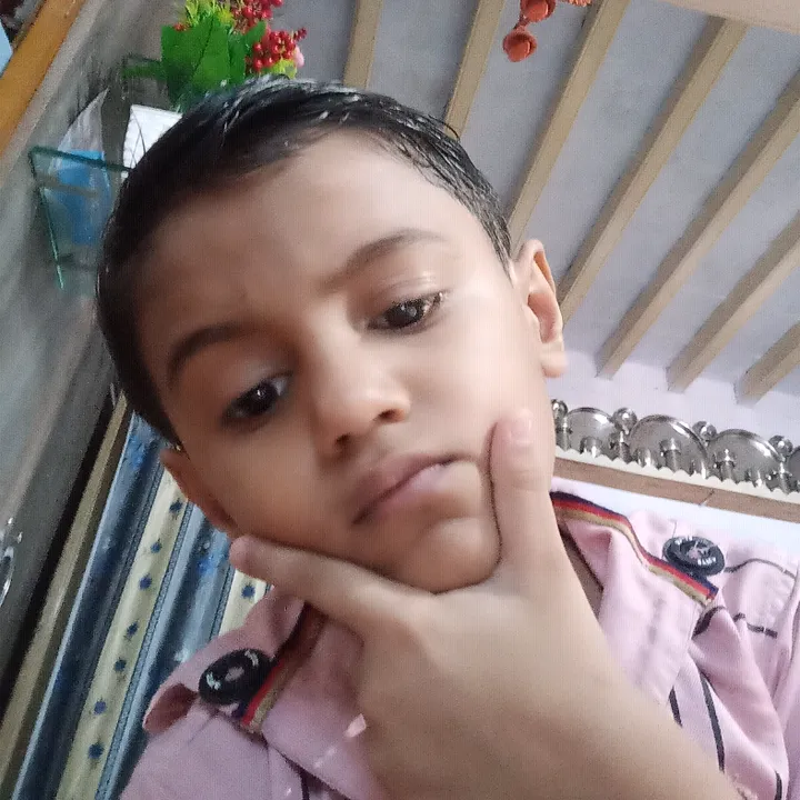 @brijrajsinh_._zala