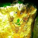 @user6882124105993