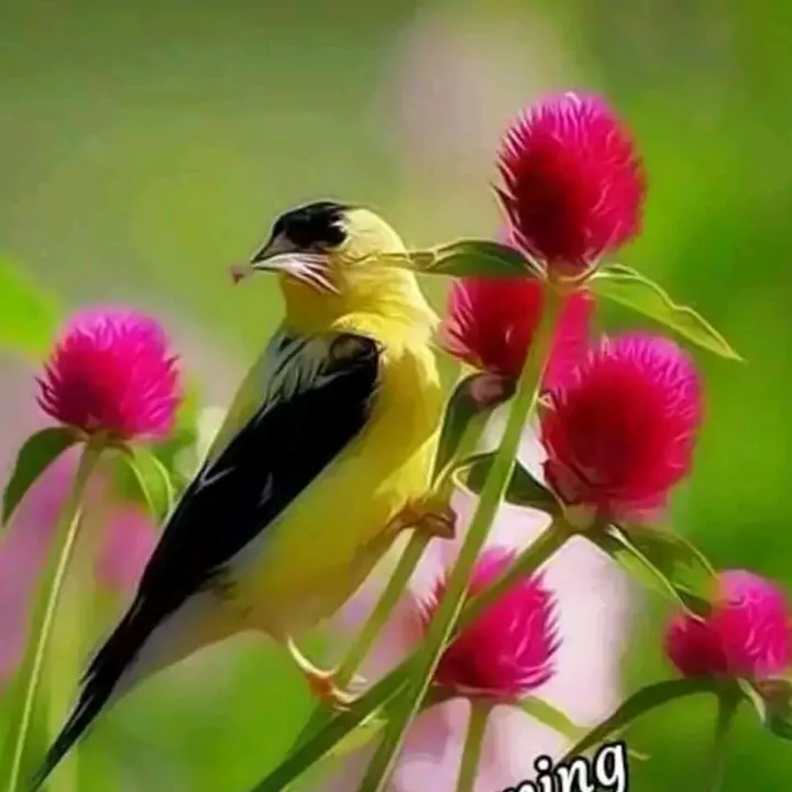 user14052911