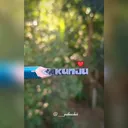 @anuanu86992