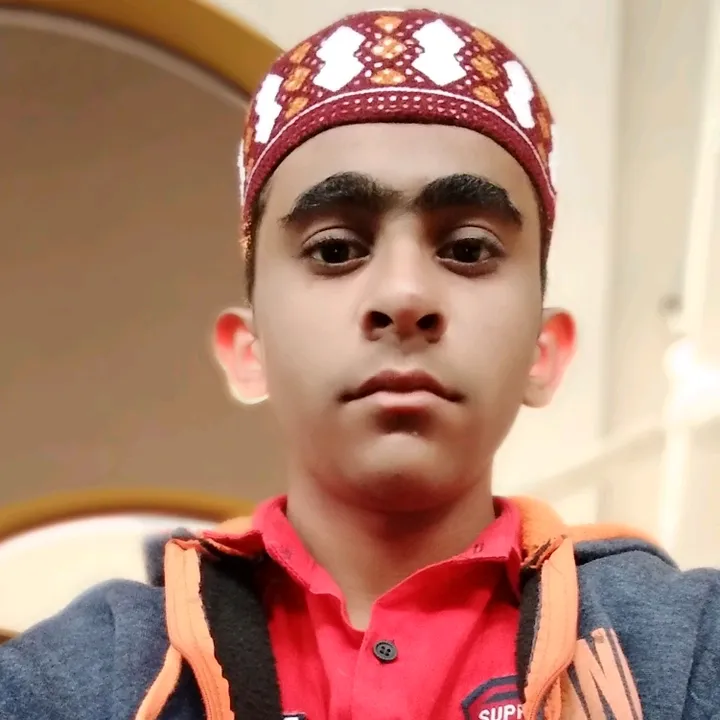 mohsinbhattibhatti