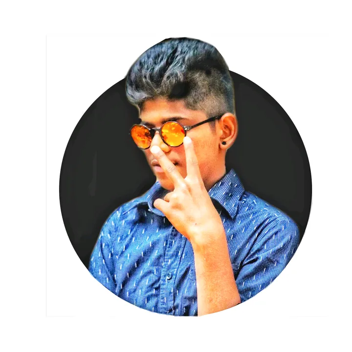 mohanpalle3