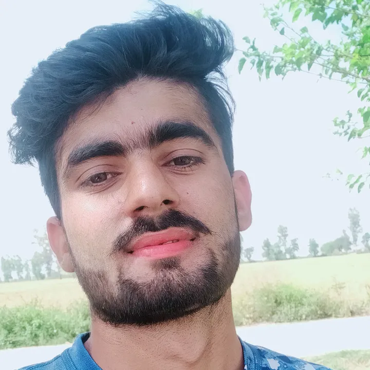 @chotusehrawat