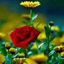 @ashishmalviya015