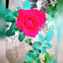 @bably8888