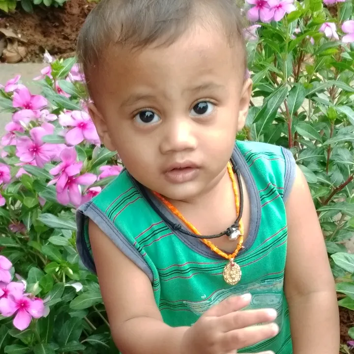 lakshmi12341