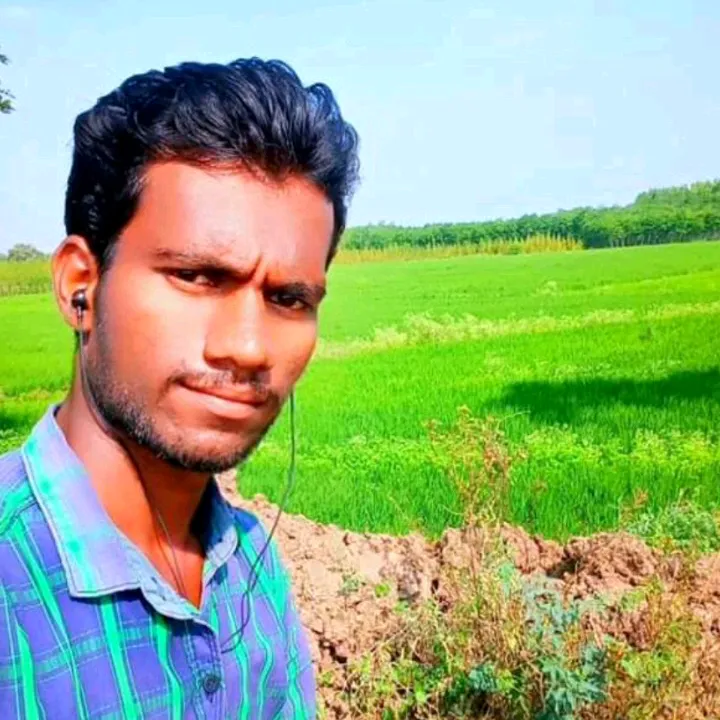venkyinkollu