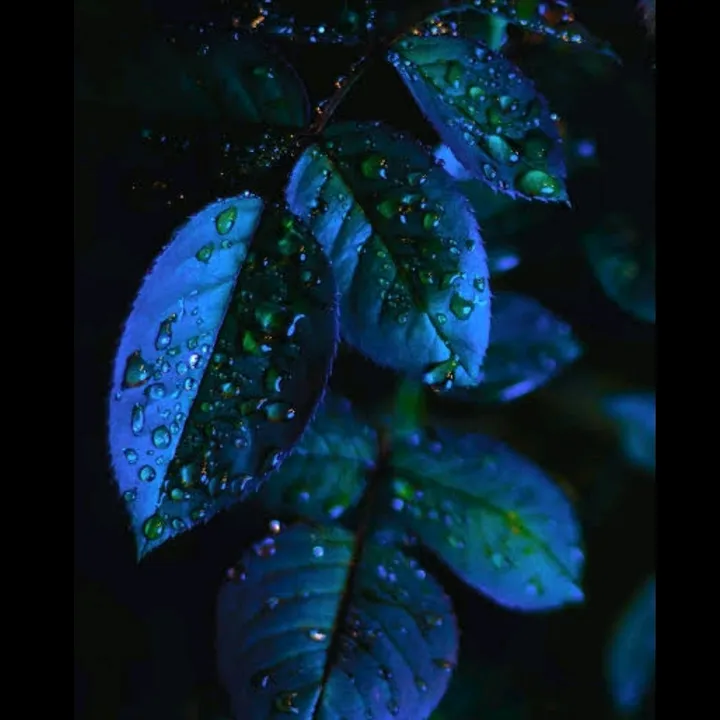 userpooja001