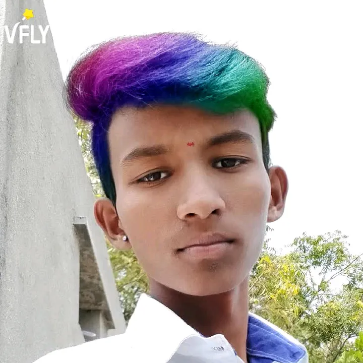 b.ramanjinalu