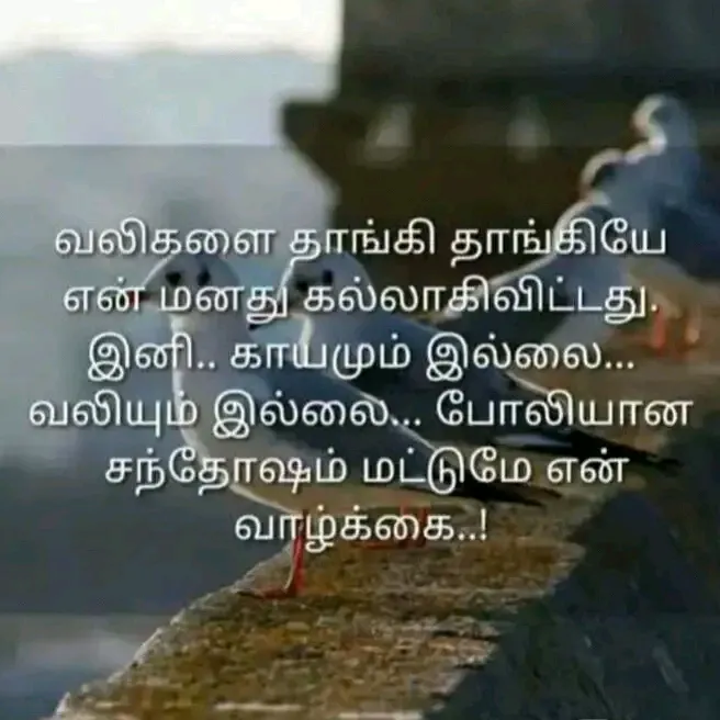 @user5827256323587