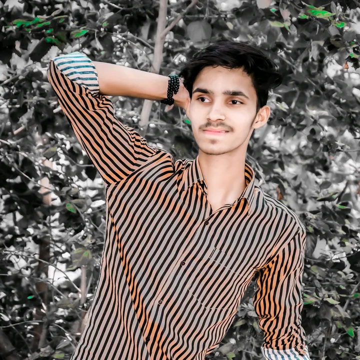 sachinbhai277