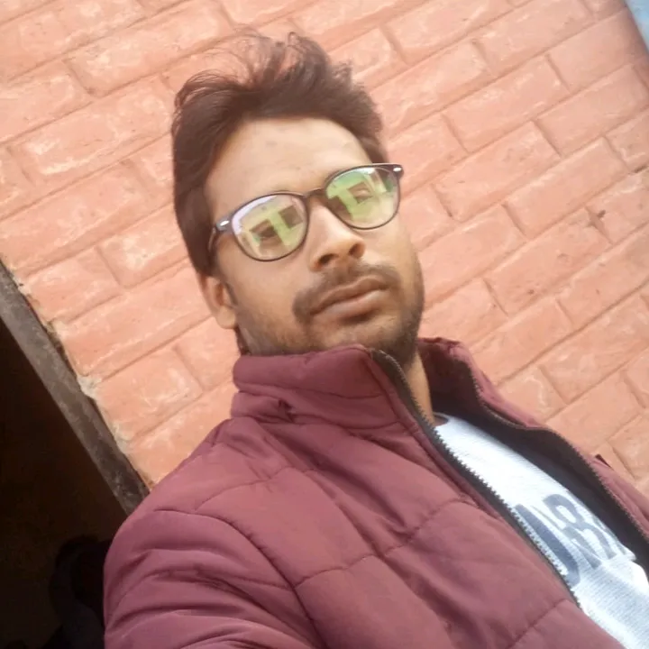 @user54487267