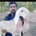 @umarfarooqfarm0