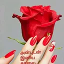 @31101403945