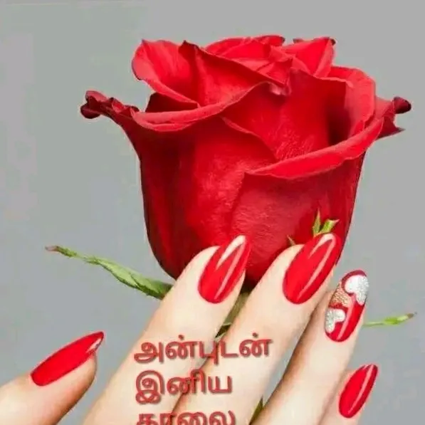 @31101403945