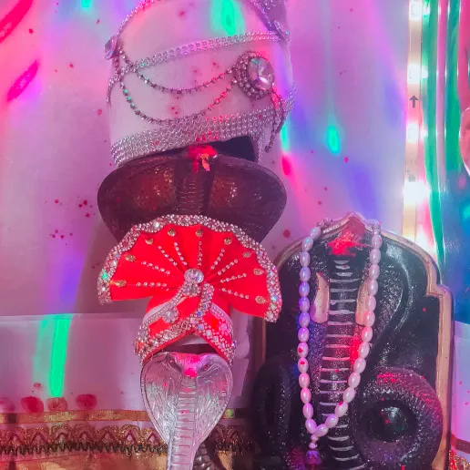 kuldipsinhbarot