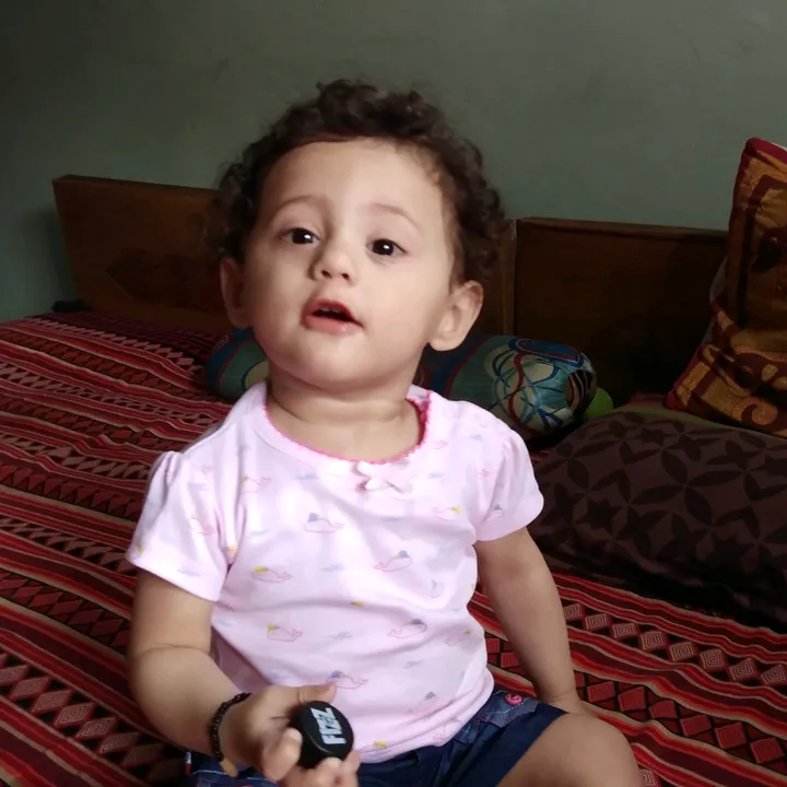 zeenatkhesal