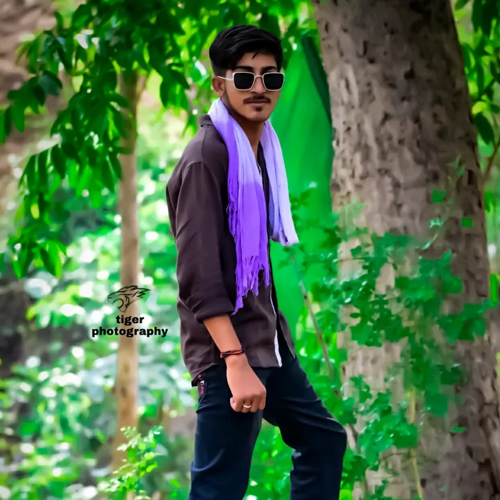 mr__tiger