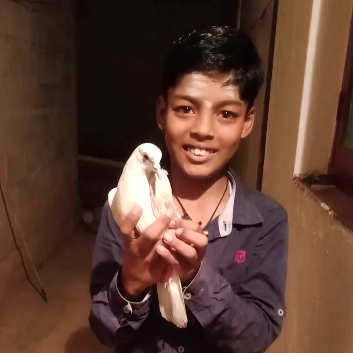 @roopamalleshroopa