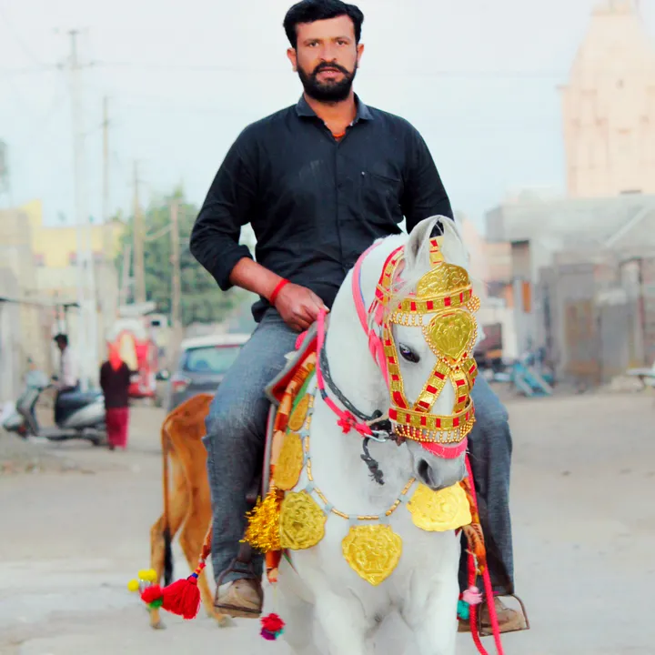 @kapilthakar0008