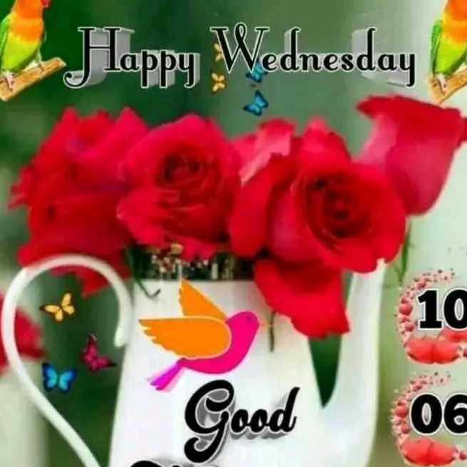 @user138649523962