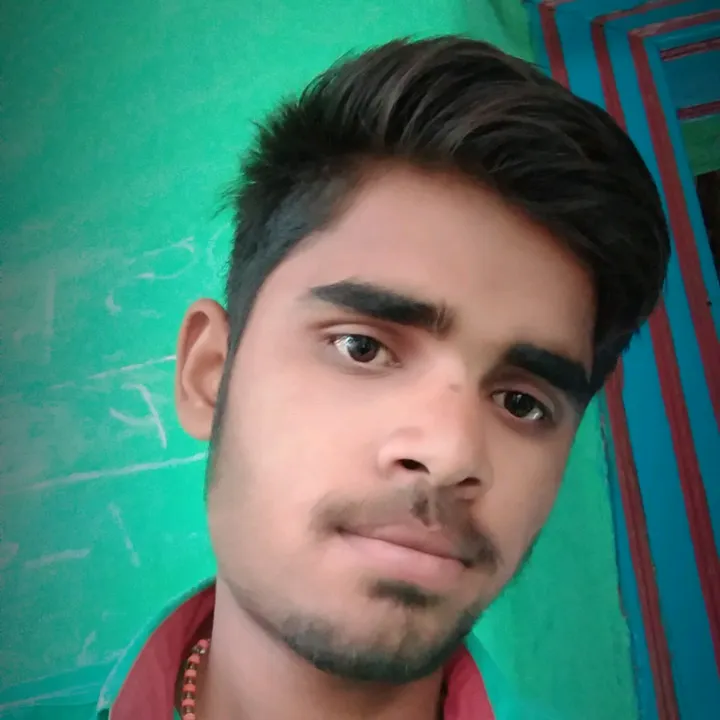 @robilgour556