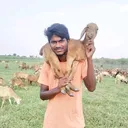 @vallapuumesh