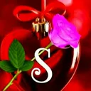 @shabeenashonu