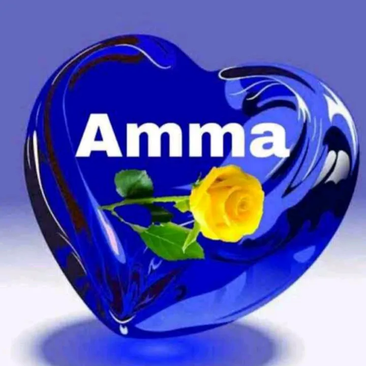 @anilsalavaanilsal