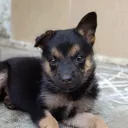 @manojprincemanu94