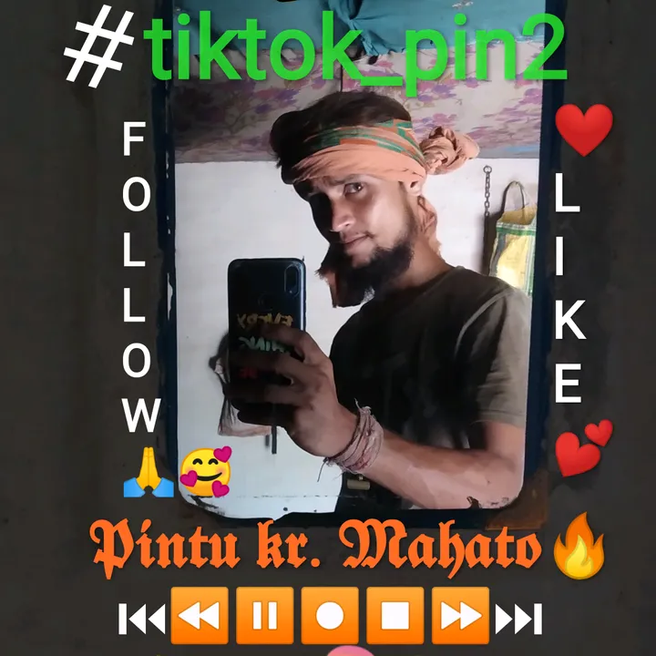 tiktok_pin2