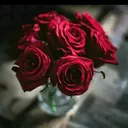 @ssssssssdd4
