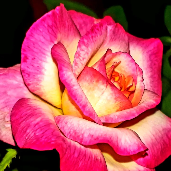 kns_photography