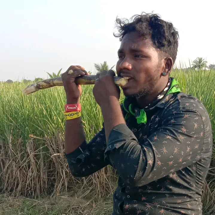 vishnusabale143