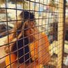 padma_riya0691997