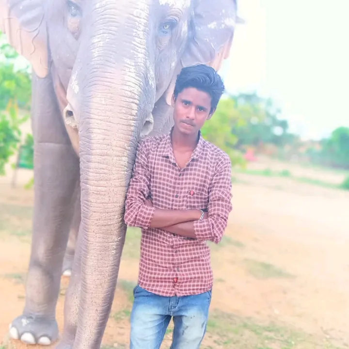 massmarri8688