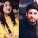 @siddharthshukla532