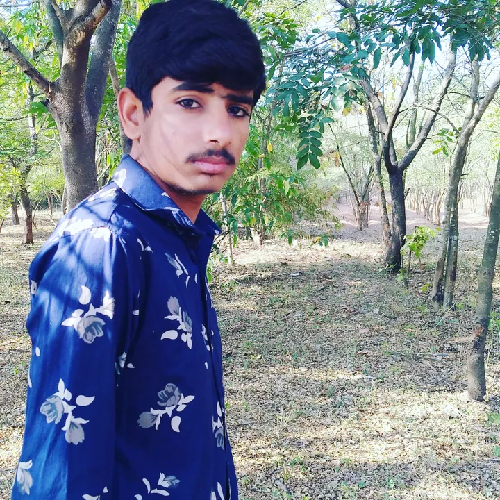 punjagalchar9182