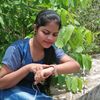 sowmya22443