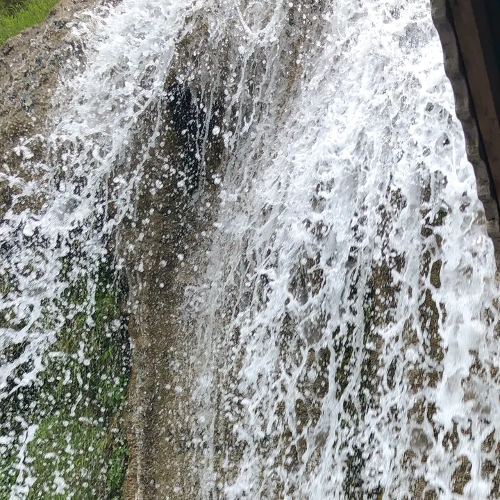 @jessicagreenn