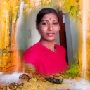 @user81475033