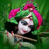 __abhay__ritik1402