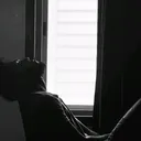 @brucleee